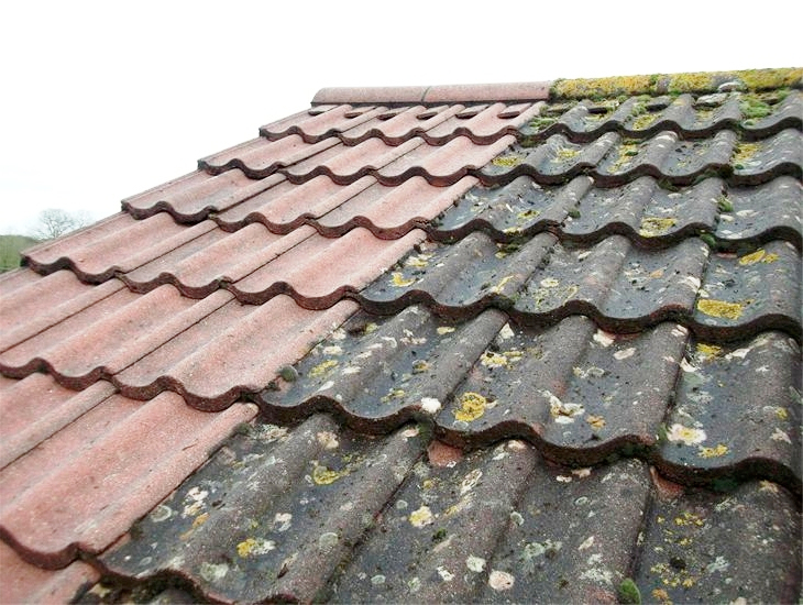 Photo Gallery Reclean Roof CleaningReclean Roof Cleaning